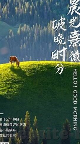 igao果冻传媒视频-探索IGAO果冻传媒视频的多元魅力与影响