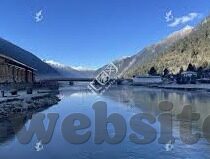 全国最大成人免费网站视频-全国最大成人免费网站视频，网络时代的隐忧与反思